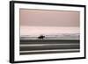 Horse Horseback Riding on Beach by Sunset-null-Framed Photographic Print