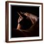 Brown Frame