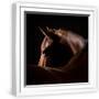 White Frame
