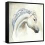 Horse I-Laurencon-Framed Stretched Canvas