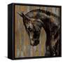 Horse I-Martin Rose-Framed Stretched Canvas