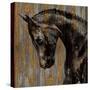 Horse I-Martin Rose-Stretched Canvas