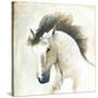 Horse II-Laurencon-Stretched Canvas