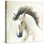 Horse II-Laurencon-Stretched Canvas