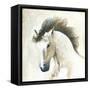 Horse II-Laurencon-Framed Stretched Canvas