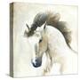 Horse II-Laurencon-Stretched Canvas