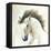 Horse II-Laurencon-Framed Stretched Canvas