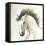 Horse II-Laurencon-Framed Stretched Canvas