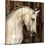 Horse II-Martin Rose-Mounted Art Print