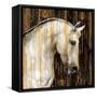 Horse II-Martin Rose-Framed Stretched Canvas
