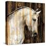 Horse II-Martin Rose-Stretched Canvas