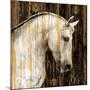 Horse II-Martin Rose-Mounted Art Print