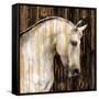 Horse II-Martin Rose-Framed Stretched Canvas