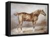 Horse in a Stable-Théodore Géricault-Framed Stretched Canvas