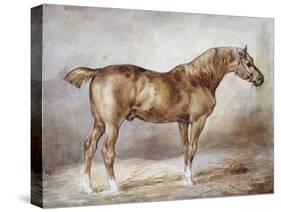 Horse in a Stable-Théodore Géricault-Stretched Canvas