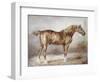 Horse in a Stable-Théodore Géricault-Framed Giclee Print