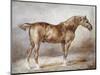Horse in a Stable-Théodore Géricault-Mounted Giclee Print