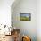 Horse in an Alpine Meadow, Slate Pass, Pasayten Wilderness, Washington-Steve Kazlowski-Framed Stretched Canvas displayed on a wall