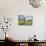 Horse in an Alpine Meadow, Slate Pass, Pasayten Wilderness, Washington-Steve Kazlowski-Stretched Canvas displayed on a wall