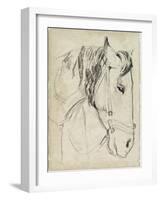 Horse in Bridle Sketch I-Jennifer Parker-Framed Art Print