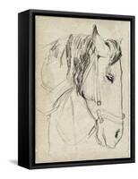 Horse in Bridle Sketch I-Jennifer Parker-Framed Stretched Canvas