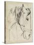 Horse in Bridle Sketch I-Jennifer Parker-Stretched Canvas