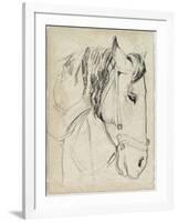 Horse in Bridle Sketch I-Jennifer Parker-Framed Art Print