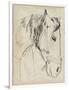 Horse in Bridle Sketch I-Jennifer Parker-Framed Art Print