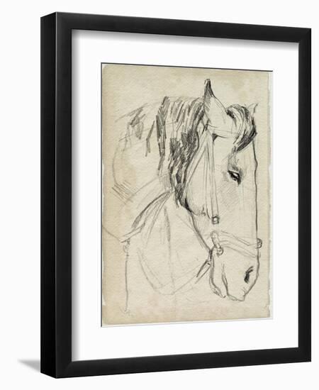 Horse in Bridle Sketch I-Jennifer Parker-Framed Art Print