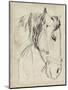 Horse in Bridle Sketch I-Jennifer Parker-Mounted Art Print