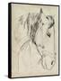 Horse in Bridle Sketch I-Jennifer Parker-Framed Stretched Canvas