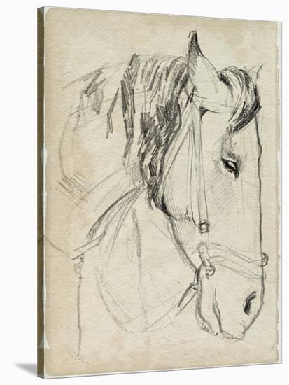 Horse in Bridle Sketch I-Jennifer Parker-Stretched Canvas