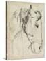 Horse in Bridle Sketch I-Jennifer Parker-Stretched Canvas