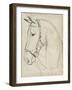 Horse in Bridle Sketch II-Jennifer Parker-Framed Art Print