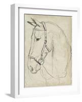 Horse in Bridle Sketch II-Jennifer Parker-Framed Art Print