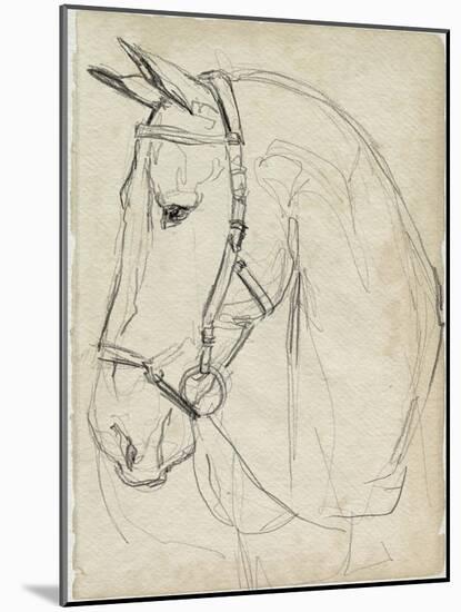 Horse in Bridle Sketch II-Jennifer Parker-Mounted Art Print