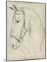 Horse in Bridle Sketch II-Jennifer Parker-Mounted Art Print