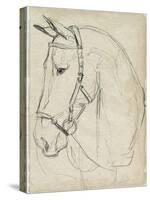 Horse in Bridle Sketch II-Jennifer Parker-Stretched Canvas
