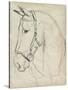 Horse in Bridle Sketch II-Jennifer Parker-Stretched Canvas