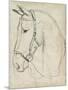 Horse in Bridle Sketch II-Jennifer Parker-Mounted Premium Giclee Print