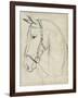 Horse in Bridle Sketch II-Jennifer Parker-Framed Art Print