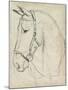 Horse in Bridle Sketch II-Jennifer Parker-Mounted Art Print