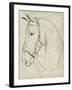 Horse in Bridle Sketch II-Jennifer Parker-Framed Art Print