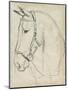 Horse in Bridle Sketch II-Jennifer Parker-Mounted Premium Giclee Print