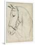 Horse in Bridle Sketch II-Jennifer Parker-Framed Art Print