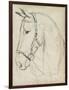 Horse in Bridle Sketch II-Jennifer Parker-Framed Art Print