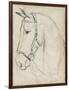 Horse in Bridle Sketch II-Jennifer Parker-Framed Art Print