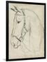 Horse in Bridle Sketch II-Jennifer Parker-Framed Art Print