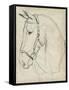 Horse in Bridle Sketch II-Jennifer Parker-Framed Stretched Canvas