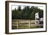 Horse in Field Looking over Fence-Thomas Northcut-Framed Photographic Print